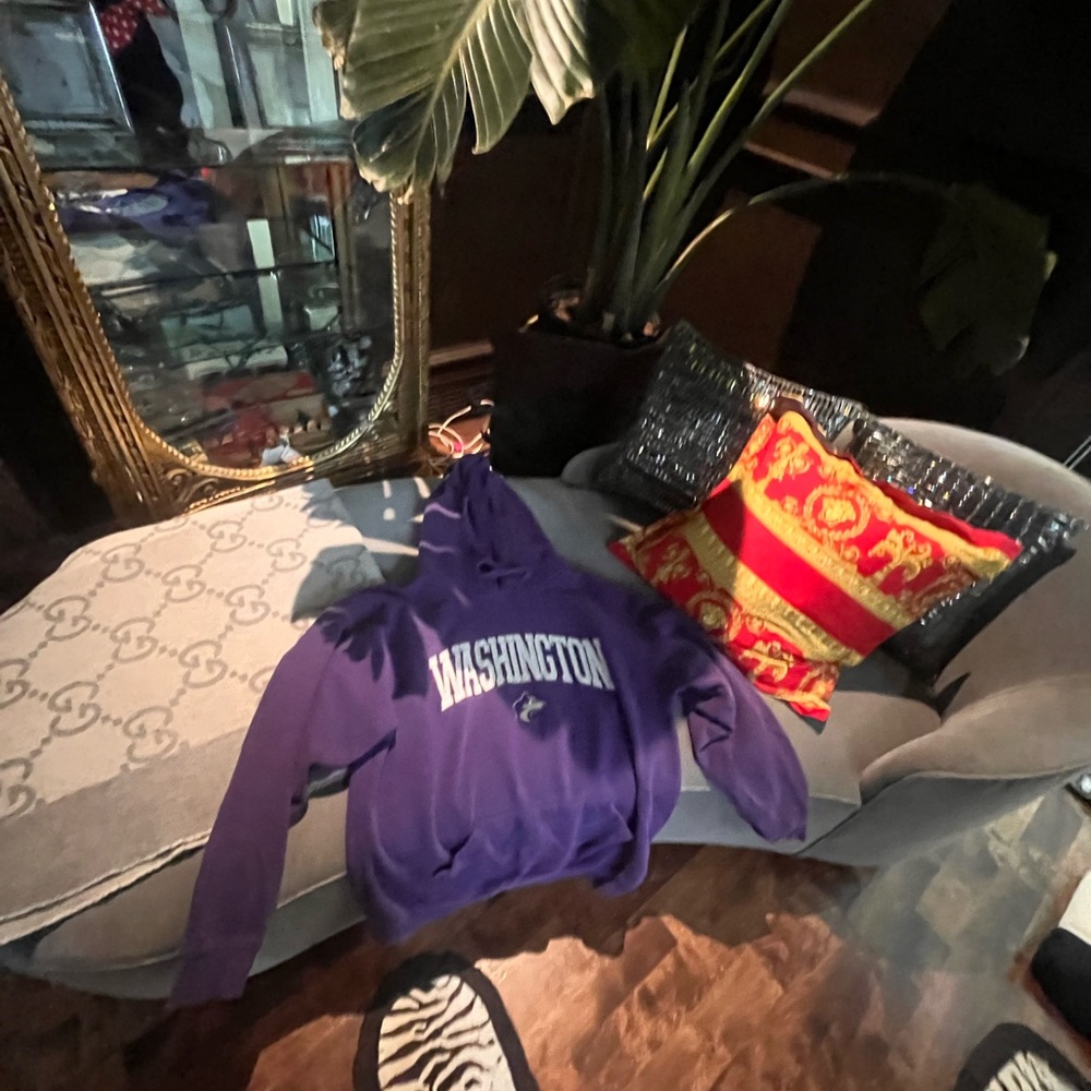 Purple Washington Men's Cardigan Sweater